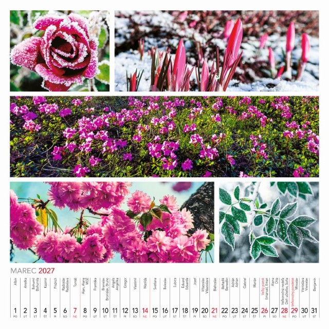 Nástenný kalendár Colours of nature 2027 – Obrázok 5