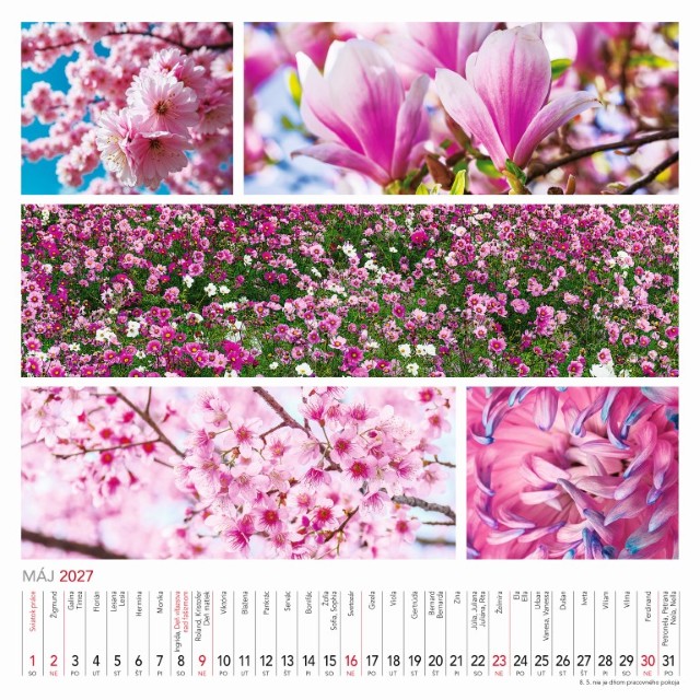 Nástenný kalendár Colours of nature 2027 – Obrázok 7