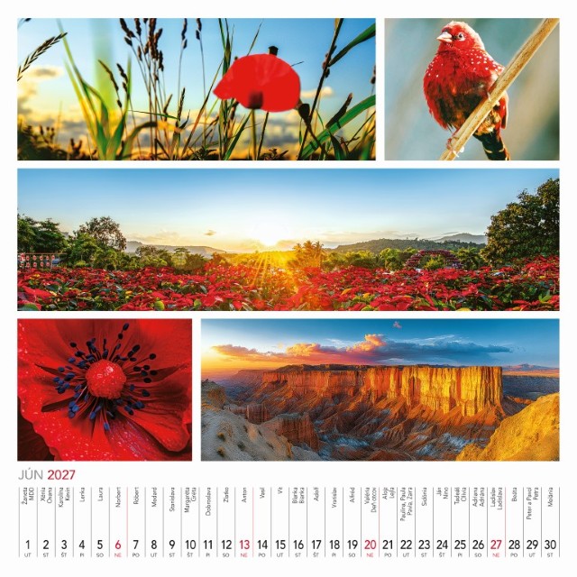 Nástenný kalendár Colours of nature 2027 – Obrázok 8