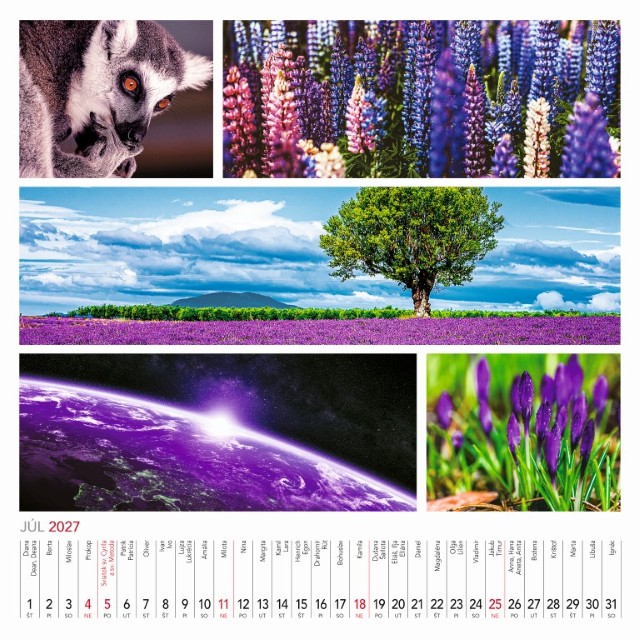 Nástenný kalendár Colours of nature 2027 – Obrázok 9