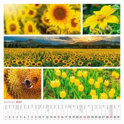 Nástenný kalendár Colours of nature 2027 – Obrázok 10