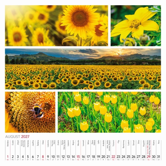Nástenný kalendár Colours of nature 2027 – Obrázok 10