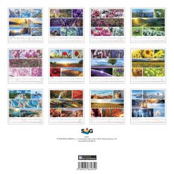 Nástenný kalendár Colours of nature 2027 – Obrázok 15
