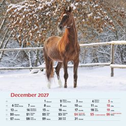 Nástenný kalendár Kone 2027 – Obrázok 14