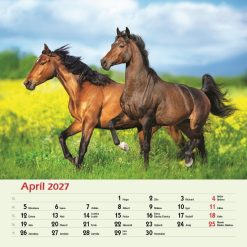 Nástenný kalendár Kone 2027 – Obrázok 6