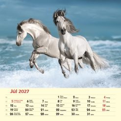 Nástenný kalendár Kone 2027 – Obrázok 9