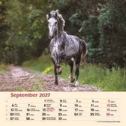 Nástenný kalendár Kone 2027 – Obrázok 11
