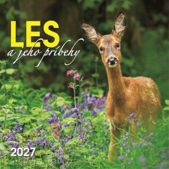 Nástenný kalendár Les a jeho príbehy 2027 – Obrázok 2