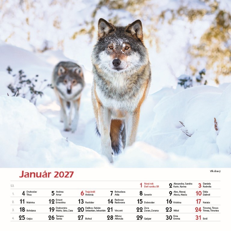 Nástenný kalendár Les a jeho príbehy 2027 – Obrázok 3