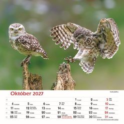 Nástenný kalendár Les a jeho príbehy 2027 – Obrázok 12