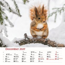 Nástenný kalendár Les a jeho príbehy 2027 – Obrázok 14