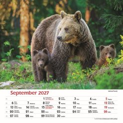 Nástenný kalendár Les a jeho príbehy 2027 – Obrázok 11