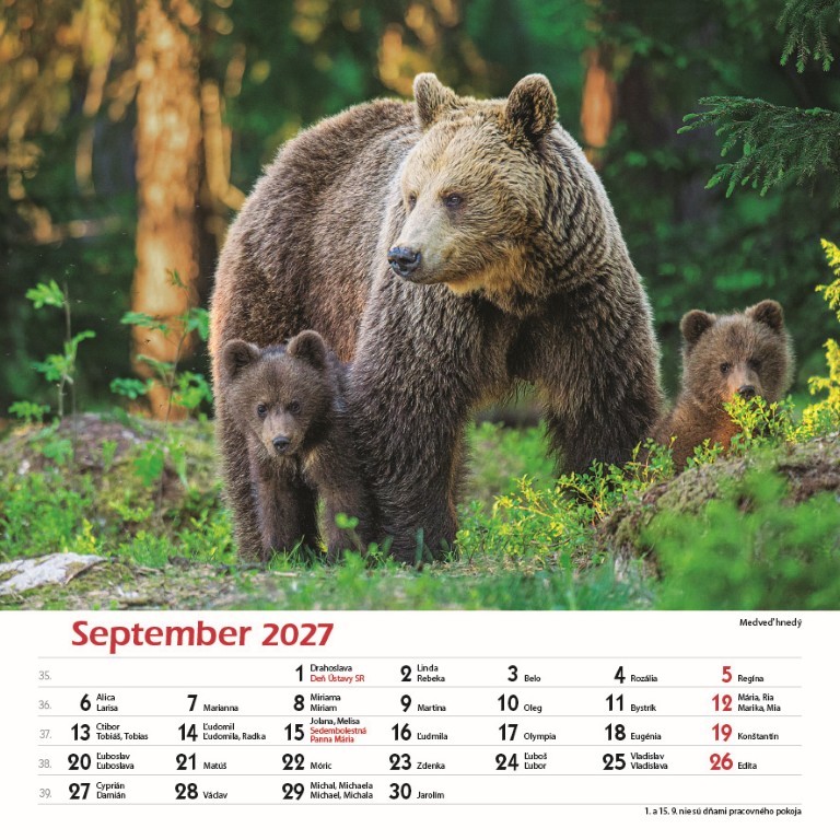 Nástenný kalendár Les a jeho príbehy 2027 – Obrázok 11