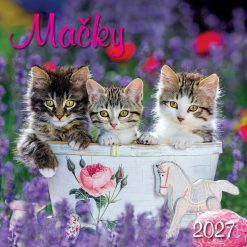 Nástenný kalendár Mačky 2027 – Obrázok 2