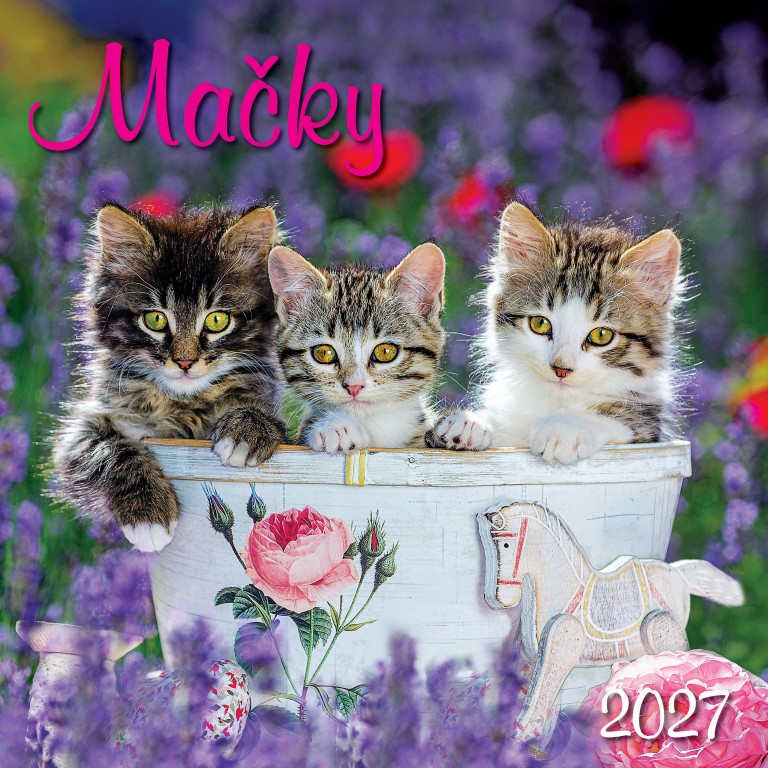 Nástenný kalendár Mačky 2027 – Obrázok 2