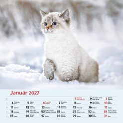 Nástenný kalendár Mačky 2027 – Obrázok 3