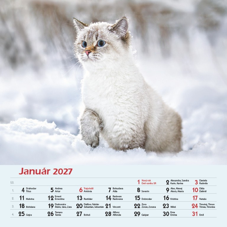 Nástenný kalendár Mačky 2027 – Obrázok 3