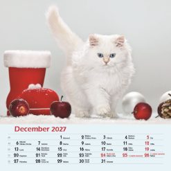 Nástenný kalendár Mačky 2027 – Obrázok 14