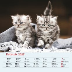 Nástenný kalendár Mačky 2027 – Obrázok 4