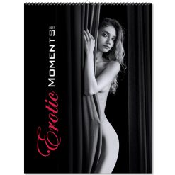 Nástenný kalendár Erotic moments 2027