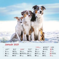 Nástenný kalendár Priatelia 2027 – Obrázok 3