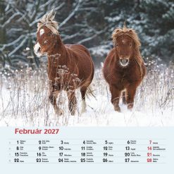 Nástenný kalendár Priatelia 2027 – Obrázok 4