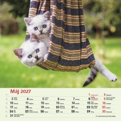 Nástenný kalendár Priatelia 2027 – Obrázok 7