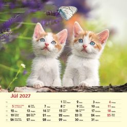 Nástenný kalendár Priatelia 2027 – Obrázok 9