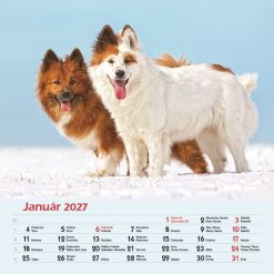 Nástenný kalendár Psy 2027 – Obrázok 3