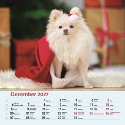 Nástenný kalendár Psy 2027 – Obrázok 14