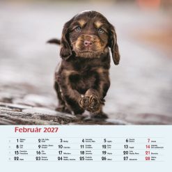 Nástenný kalendár Psy 2027 – Obrázok 4
